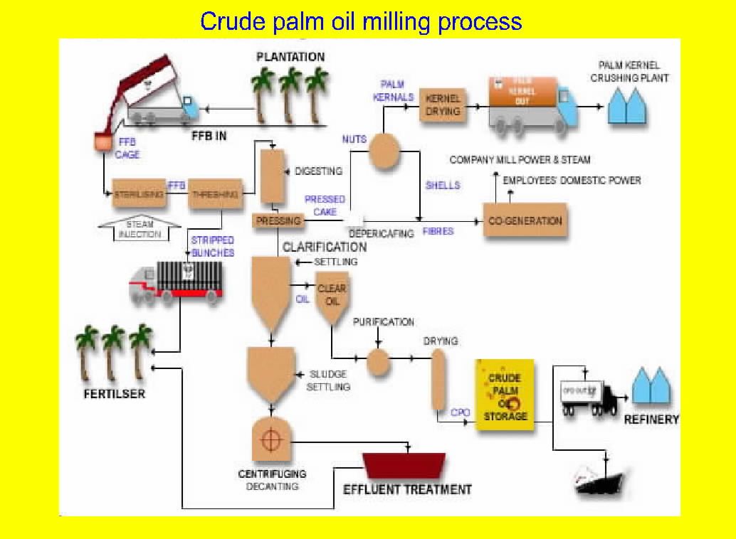 Crude Palm Oil Processing