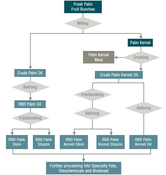 PALM OIL FRACTIONATION 