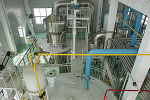mustard oil extraction plant 